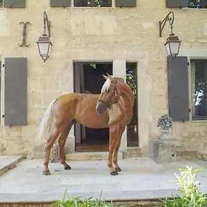 https://domaine-cap-rubis.fr-provencehotel.com